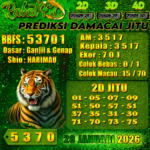 DAMACAI 28 JANUARI