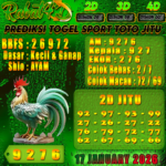 togel sporttoto