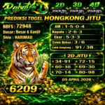 Gemini_Generated_Image_bhoxrgbhoxrgbhox