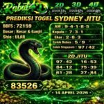 SDY RBA14