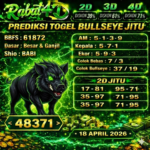 bul rabat 18