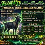 bul rabat  24
