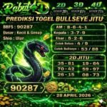 bull rabat