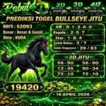 bull rabat 16