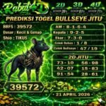 bull rabat 21