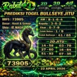 bulls  rabat  22