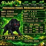 magnum  19 rabat