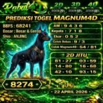magnum rabat