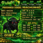 magnum  rabat
