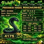 magnum rabat 25