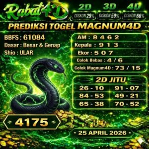 magnum rabat 25