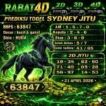 sdy raba 20