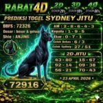 sdy rabat  23