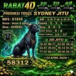 sdy rbat  24